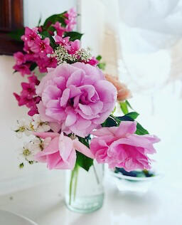 guest flowers in The Sea Salt